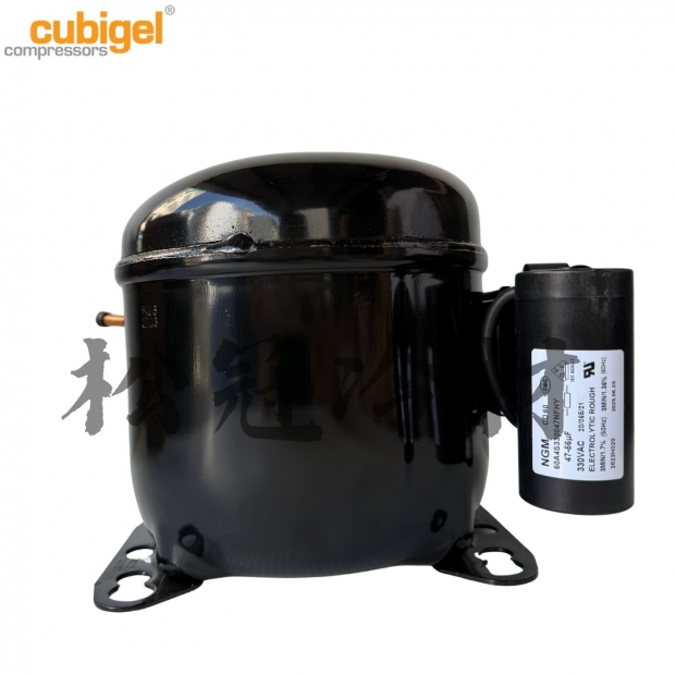 CUBIGEL GL90TG壓縮機1.jpg