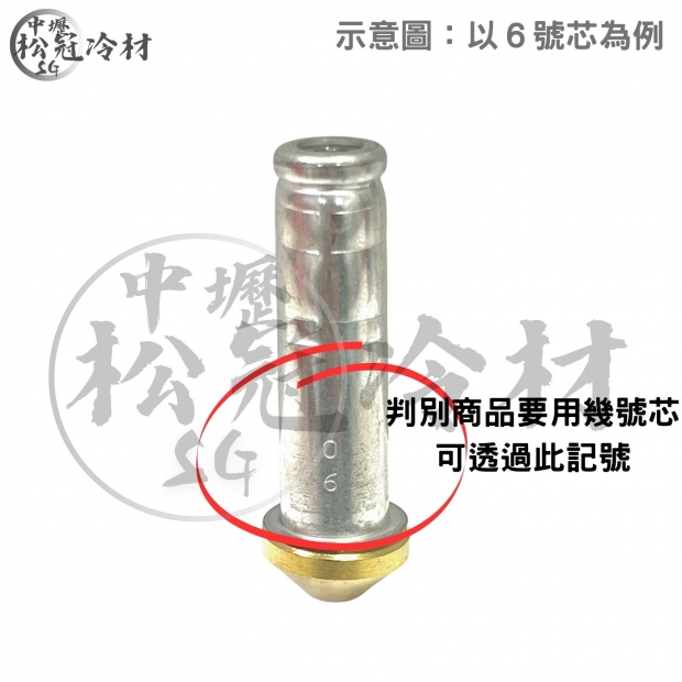 DANFOSS丹富士 膨脹閥​​​​​專用閥芯_5T以下_2.jpg