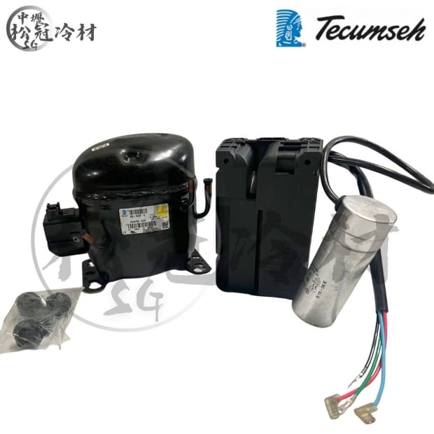 法國鐵甲武士Tecumseh AE-4470Z-AA3C 2.jpg