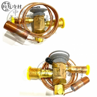 SPORLAN 膨脹閥ERZE12 2.jpg